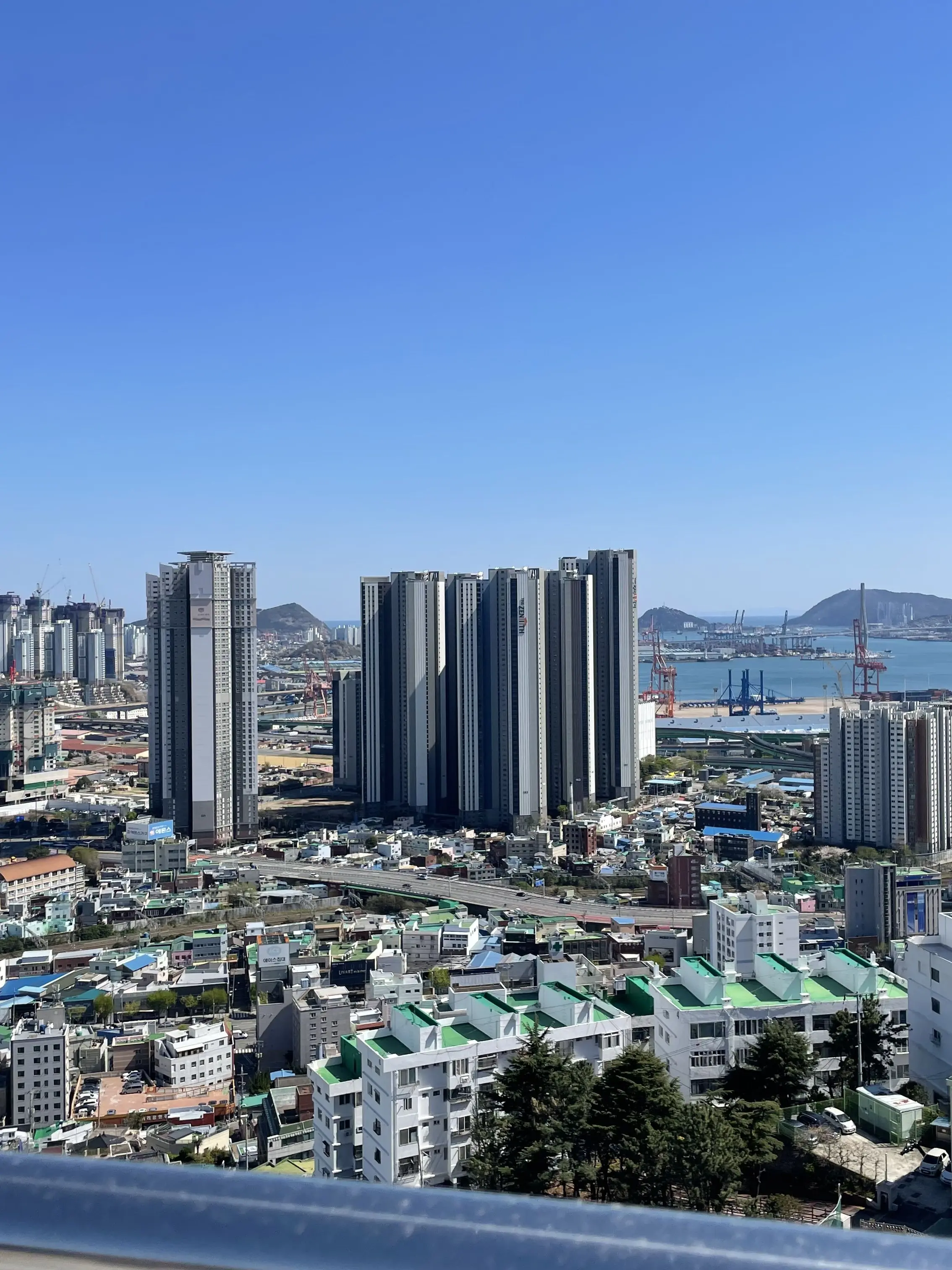 FieryShack2294의 수이웃