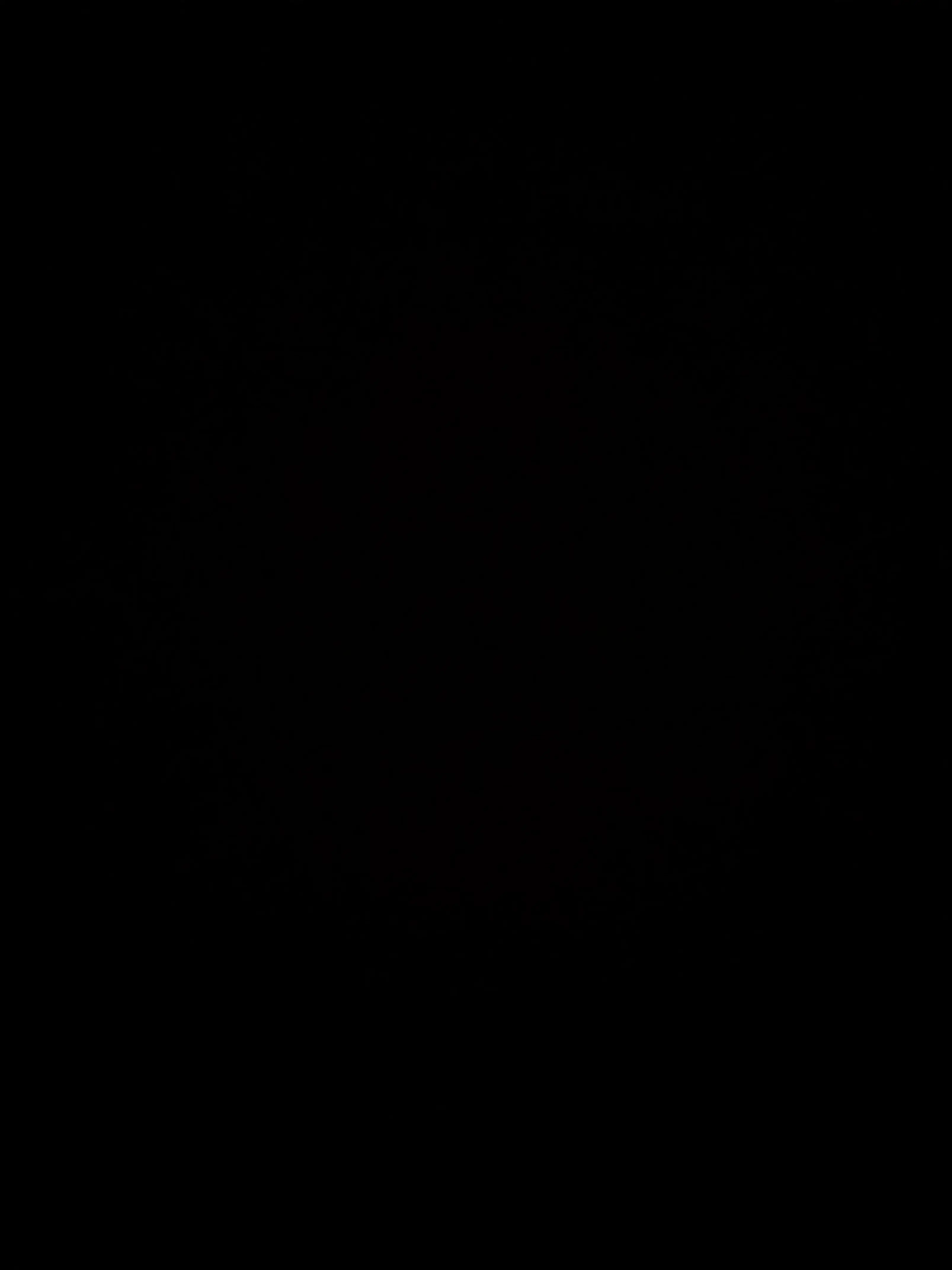 YoHarin의 코로나도 왕국