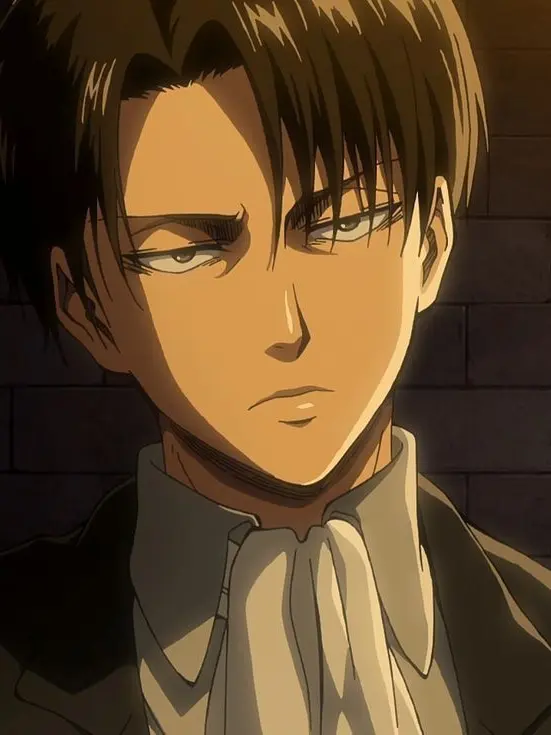 ItchyDice6753의 Levi Ackerman