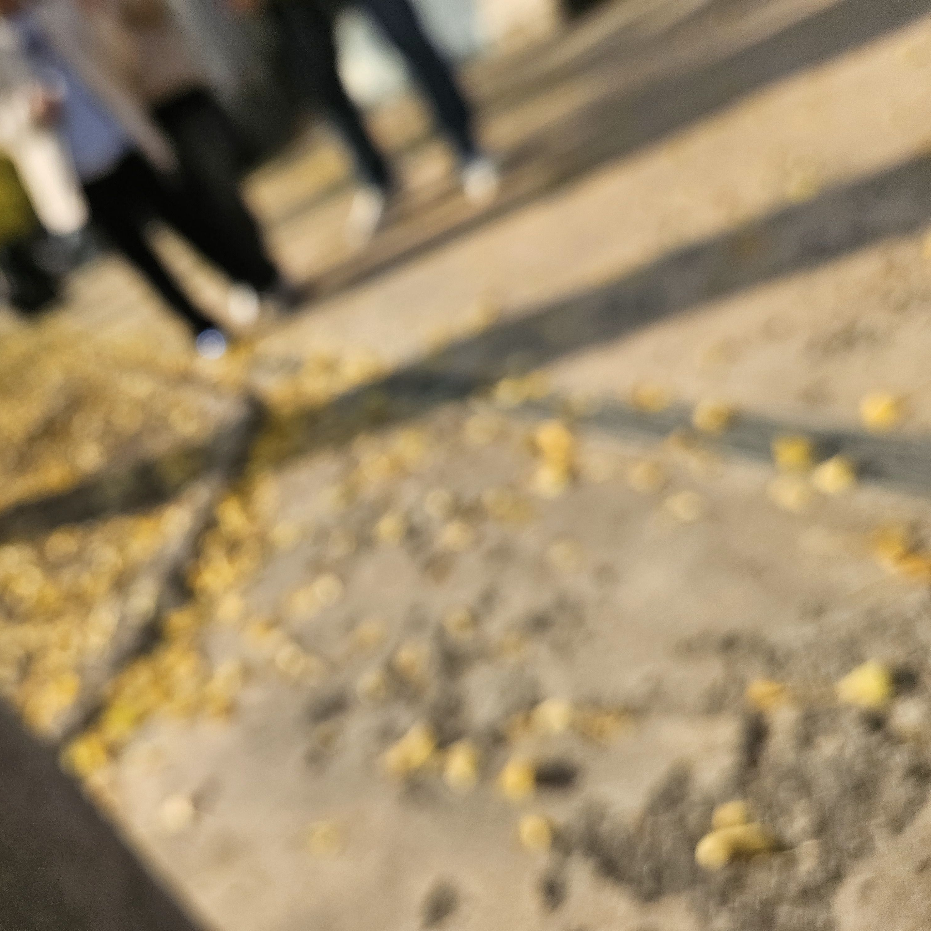 프리파라 대표 이미지
