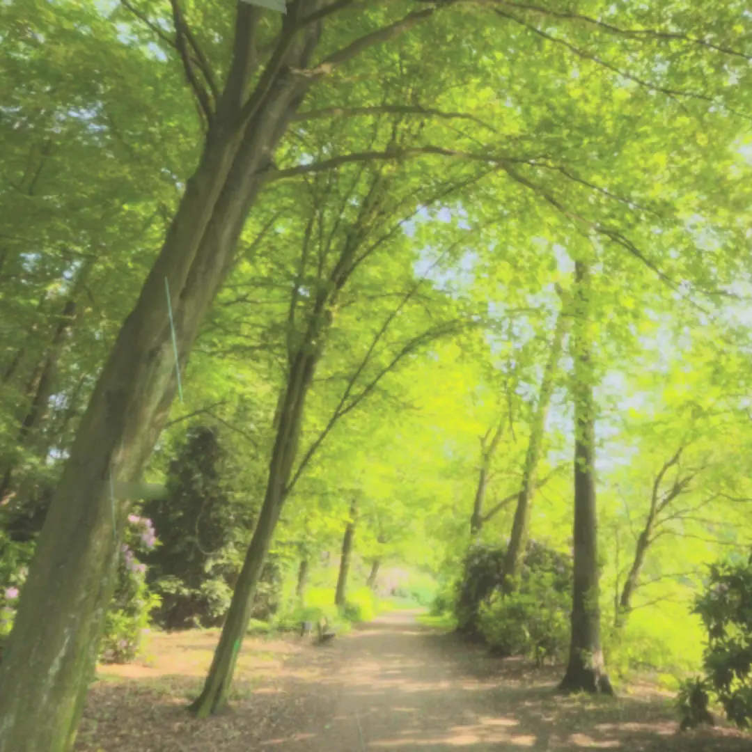 Dreamy_love의 공룡