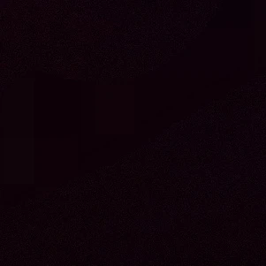 쿠키런수학여행+여우