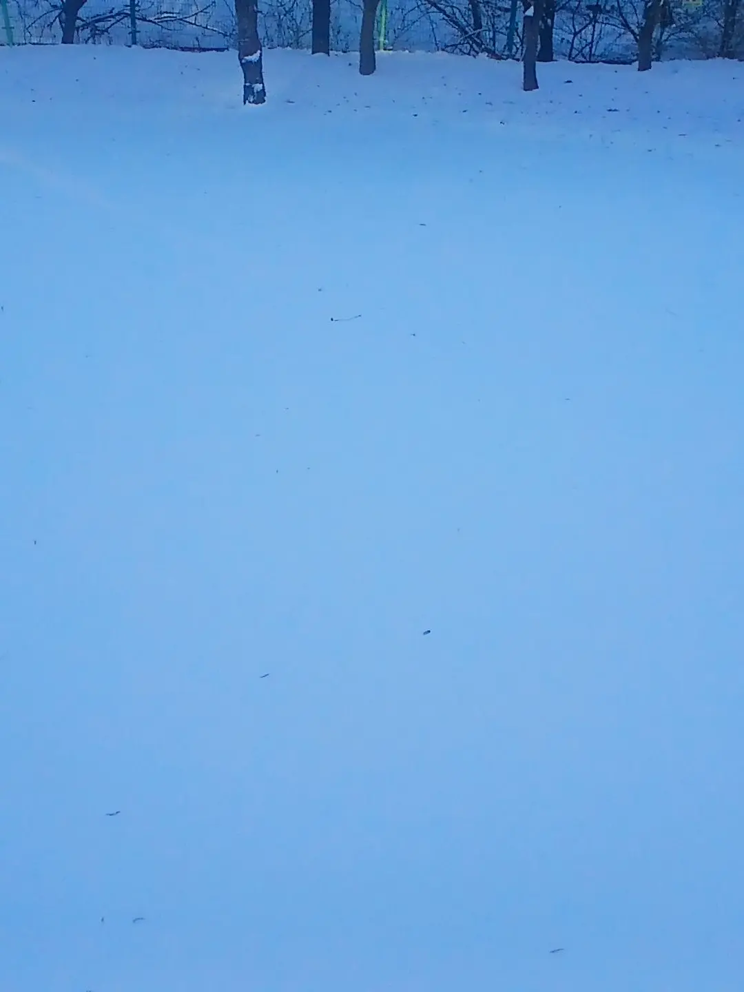 Prskblgl의 환영의 문