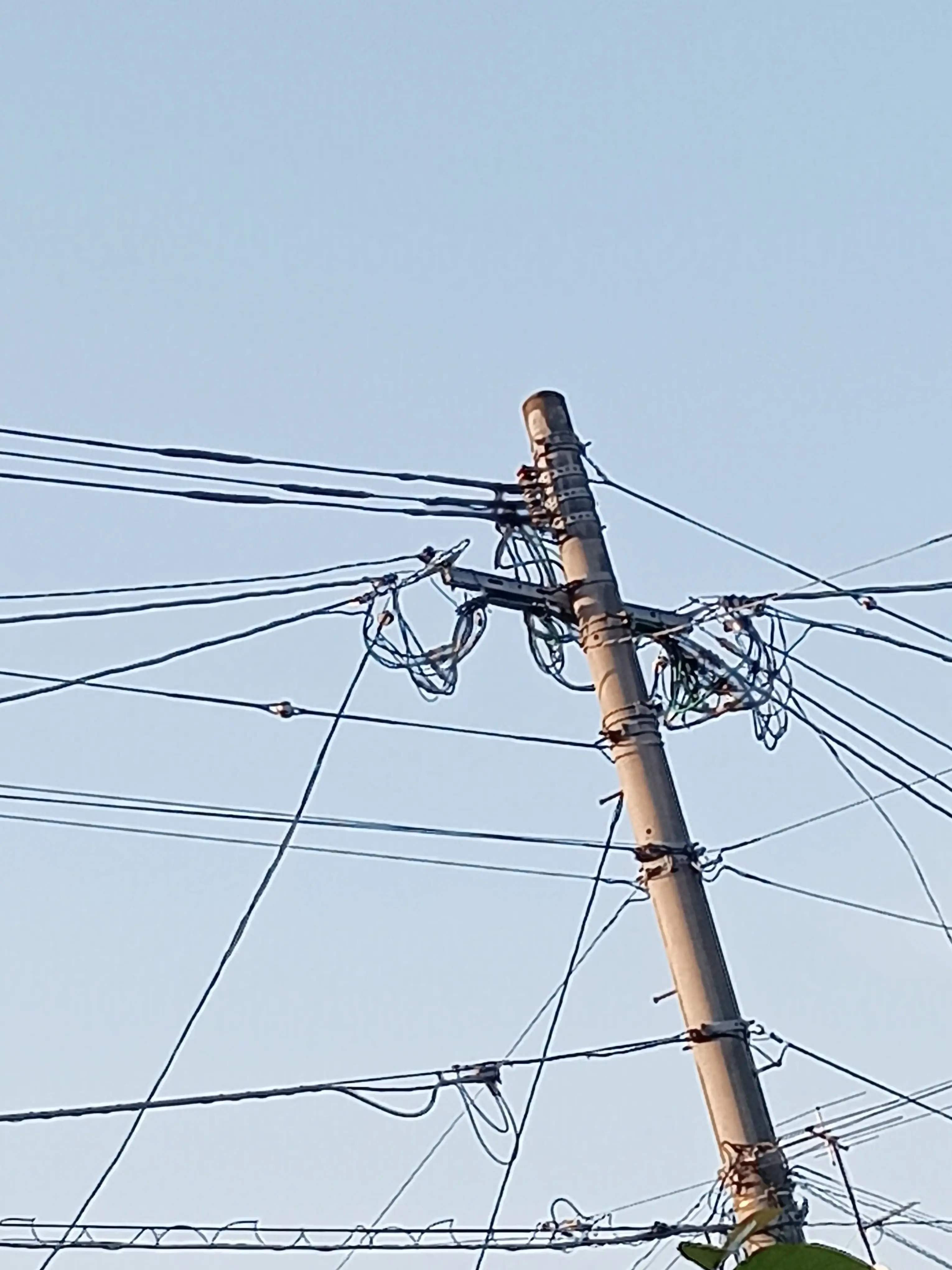 miyamoto.의 奇病患者。