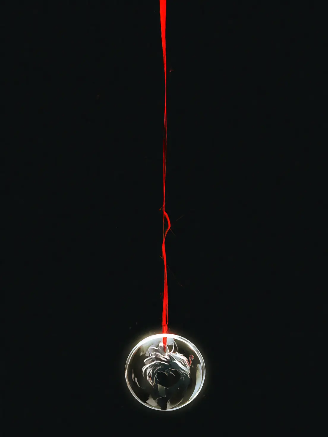 Nemu_Nemo의 영원한 인연