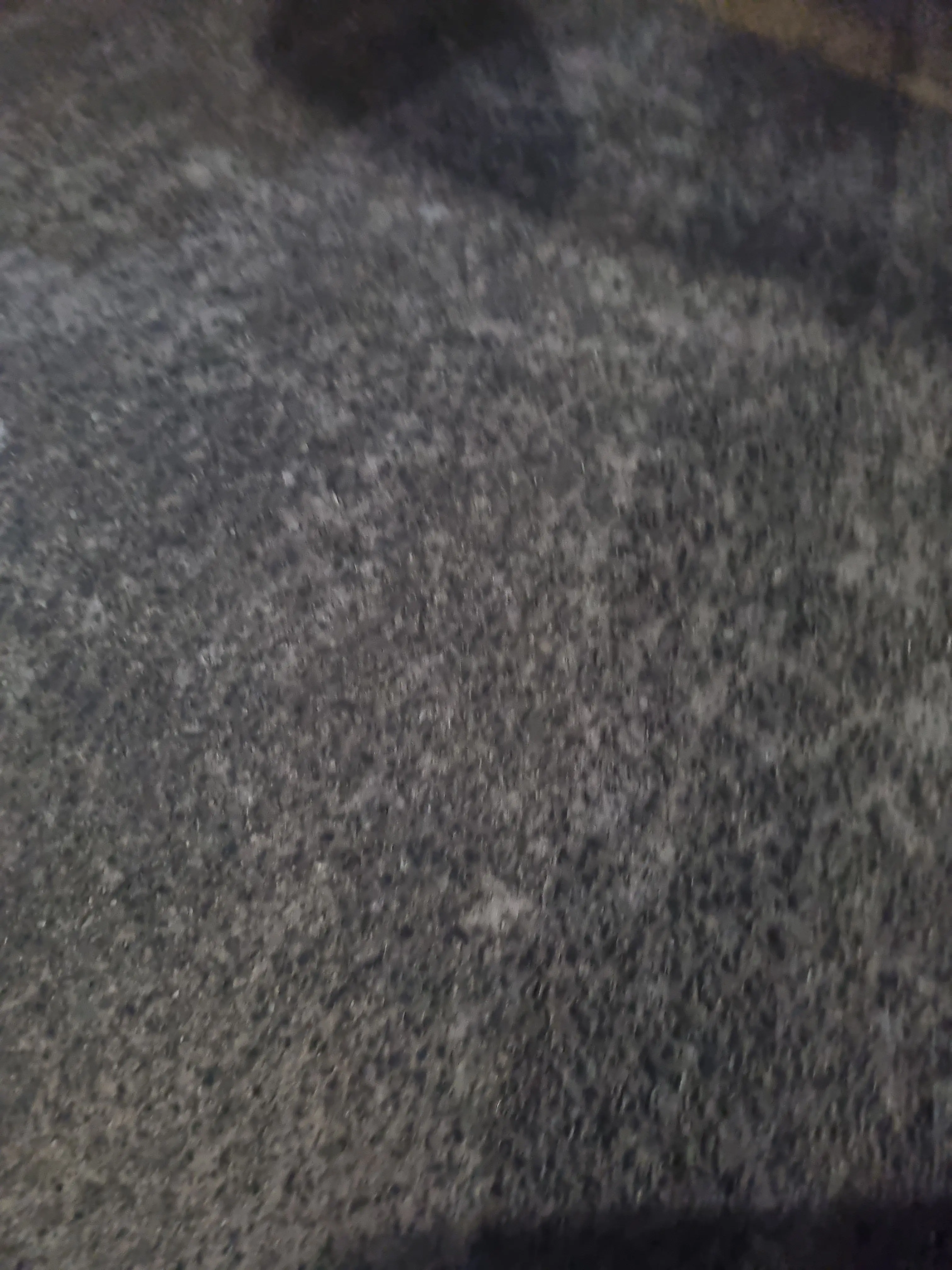 FrenchPeople.sRepublic의 정해서