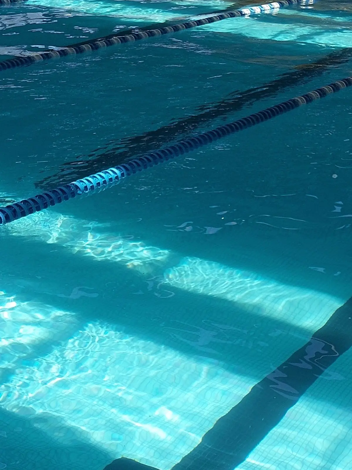 TTalki.nam.의 인어를 보면 이런 느낌인가.