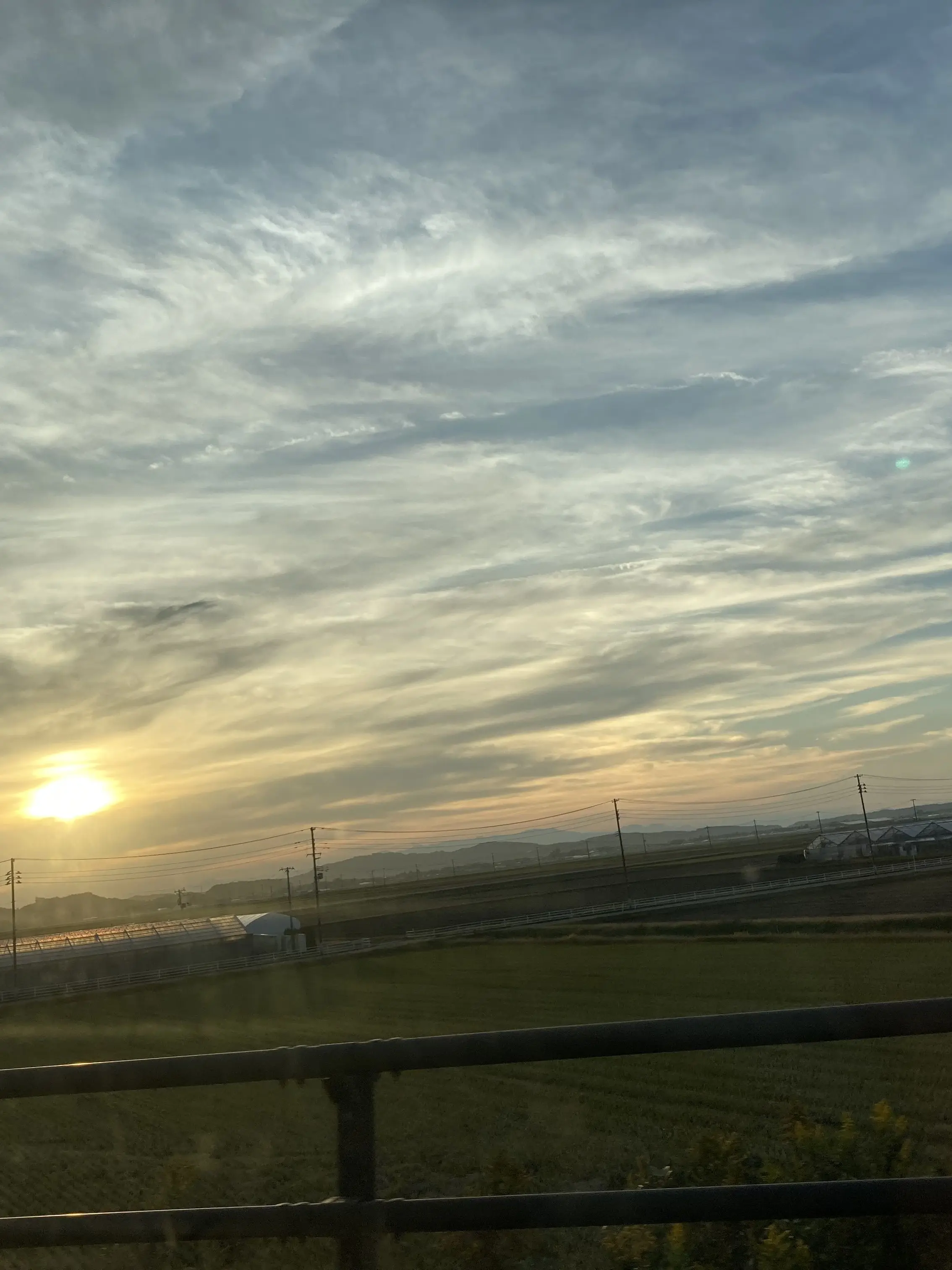 Iyouna.ikimono_0423.des의 なんで私がこんな目に…太宰治、兎化