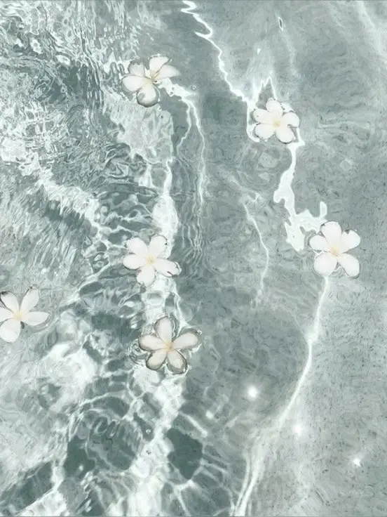 sinikake__16의 おつかれsummer