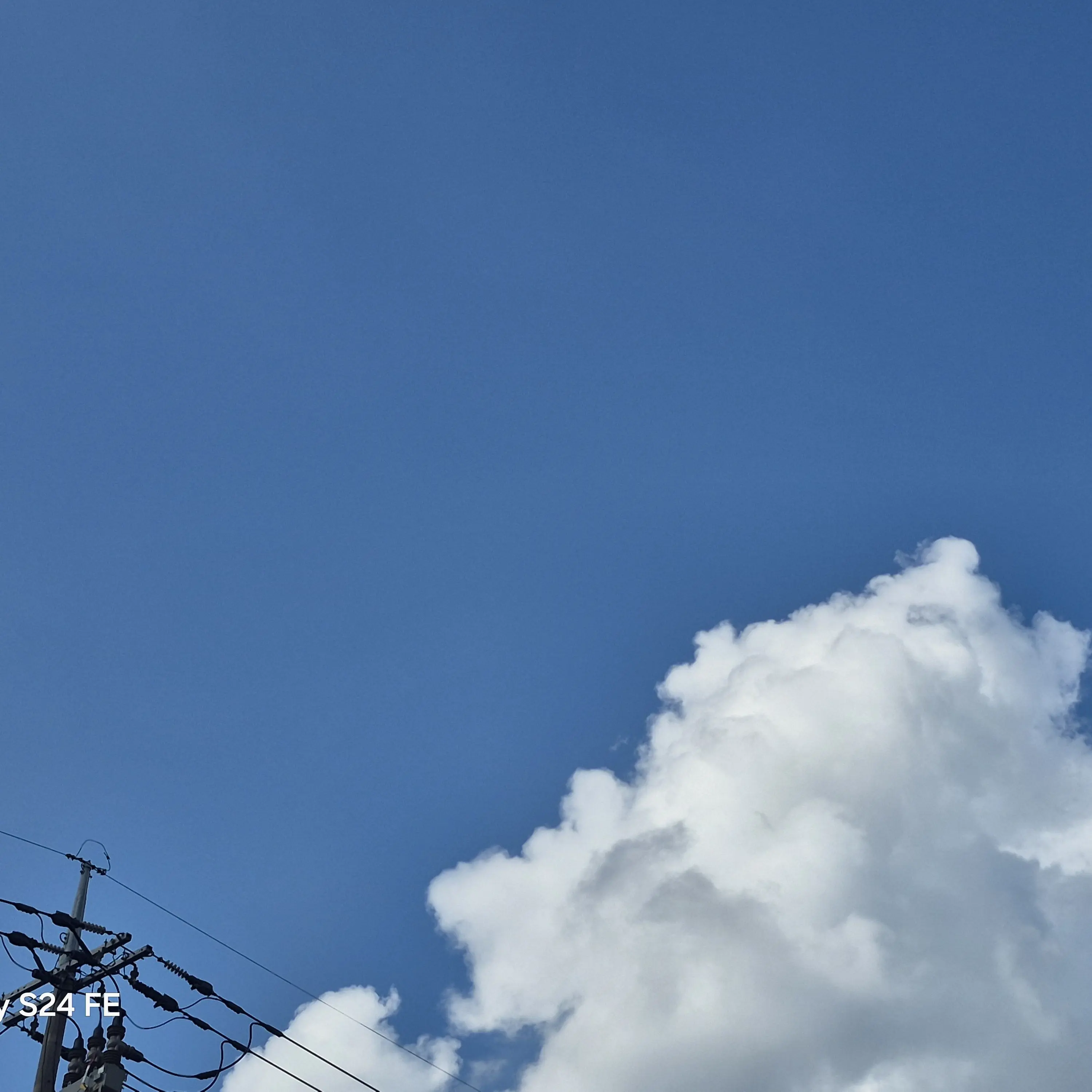 BalmyDaug5825의 여우로 몰아붙이는 여우년