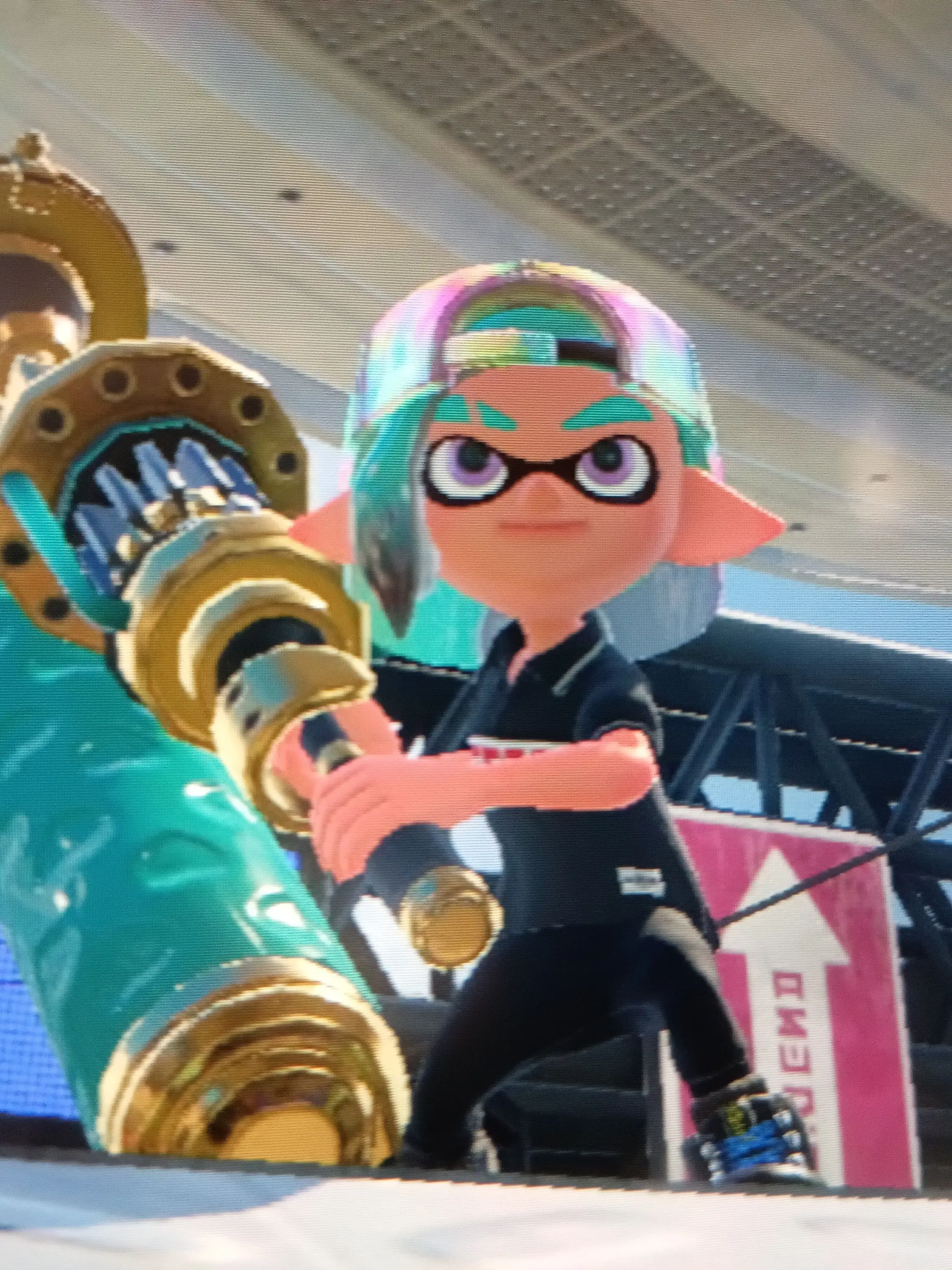 SalmonNews4649의 スプラの仲間たち✩.*˚