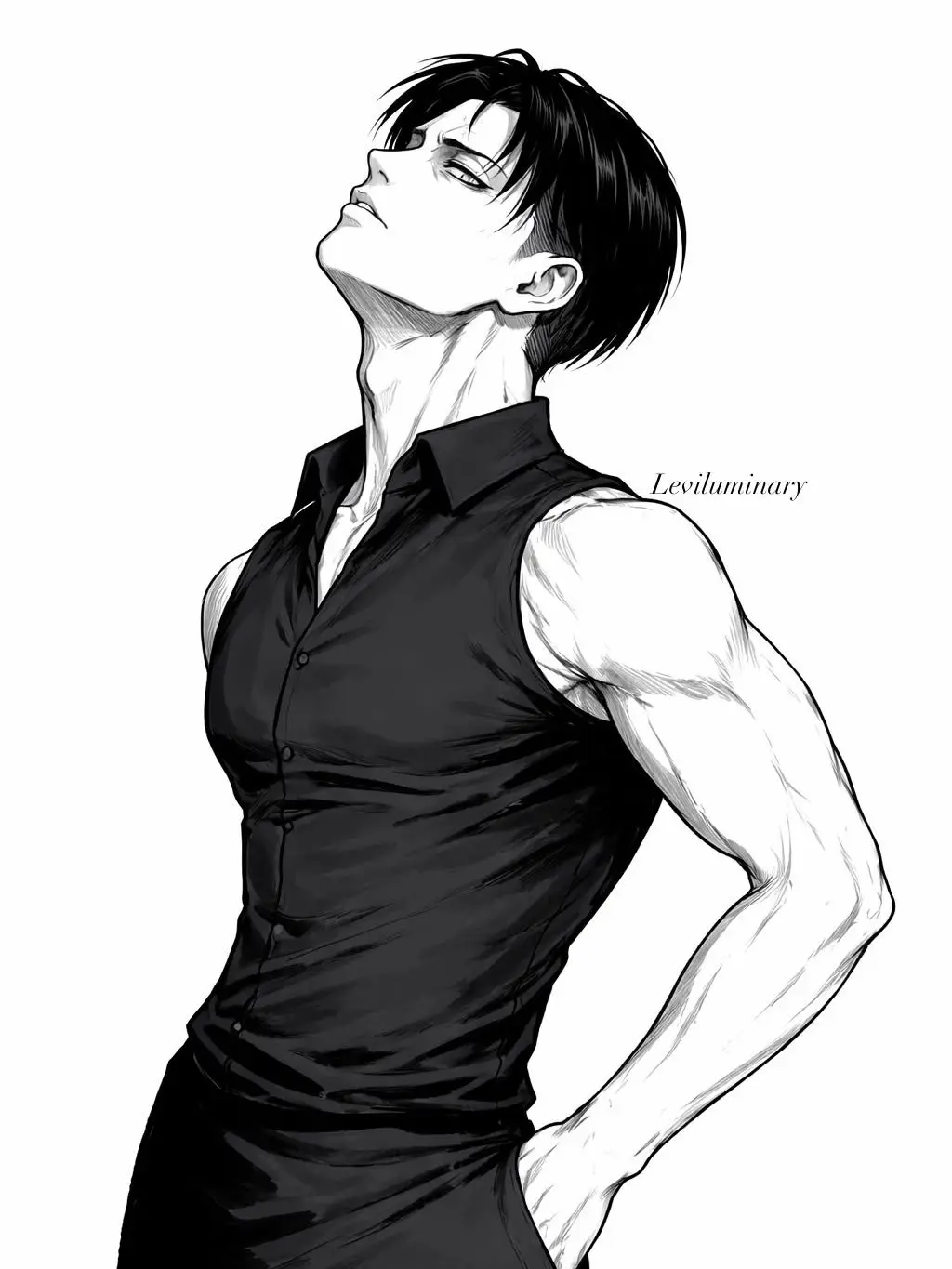 ZestyCrest5552의 Levi Ackerman