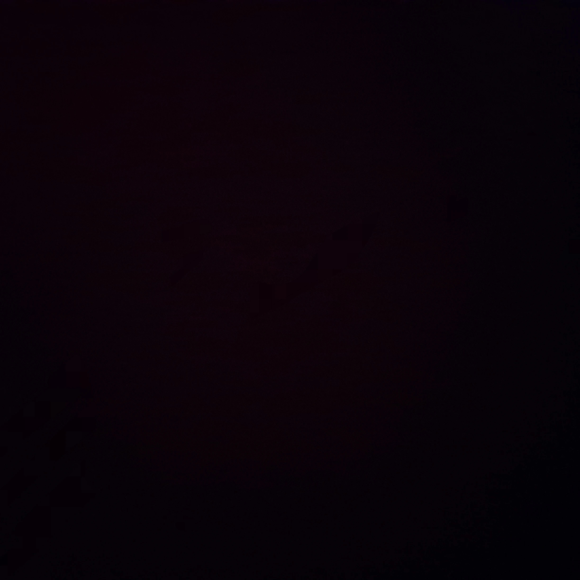 에이션트,비스트 바닷가(여우)