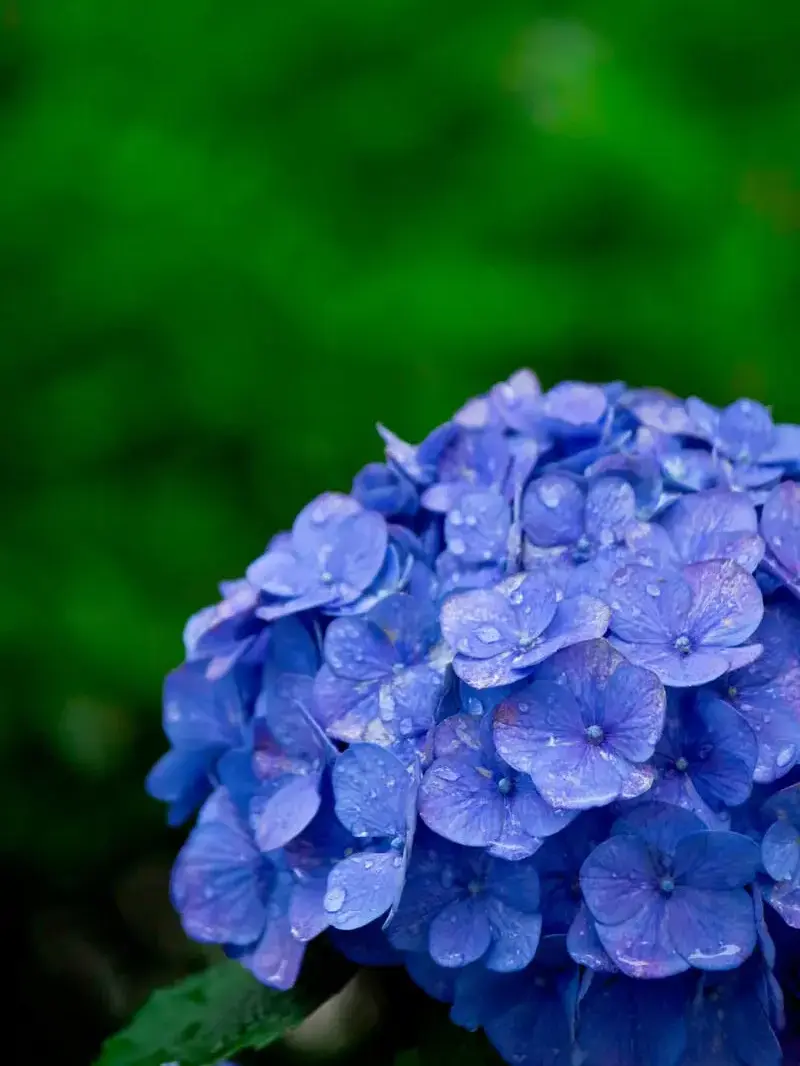 Teni5394의 大雨が数日間降ることになった件について