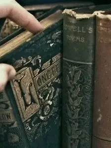 Stories_의 ᭚ ━ 🪄 ۰ ۪۪۫۫ ·₊