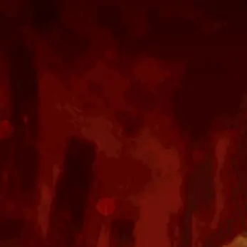 ducyxyeyxc의 하루리아 안티팬분