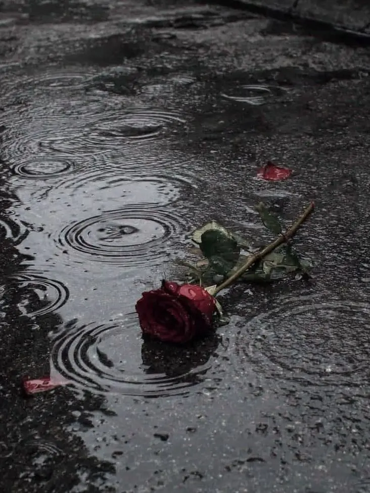 llloollloo의 나루미 겐