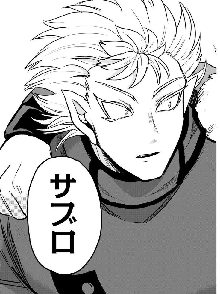 Dimoo_22의 사브노크 사브로