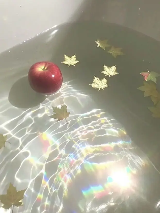 Youwill_fall_forme의 강 재헌