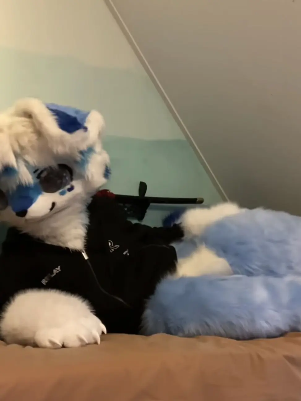 SnappySwine7307의 Furry roommate