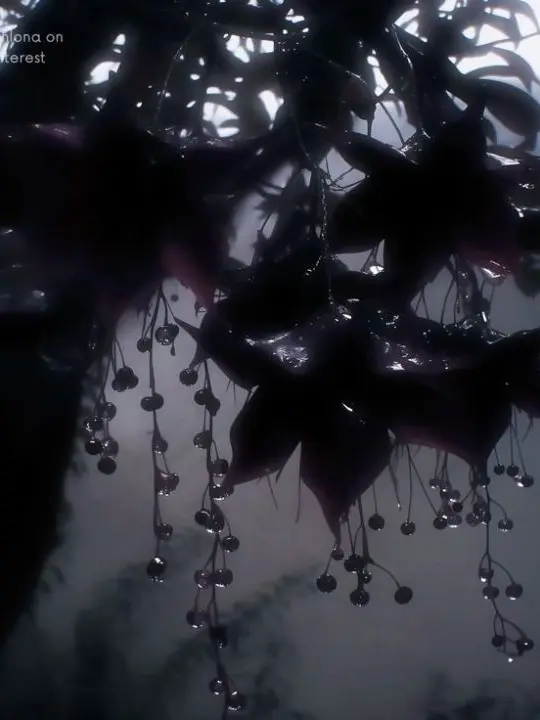 My_cute_husbands의 Edwin