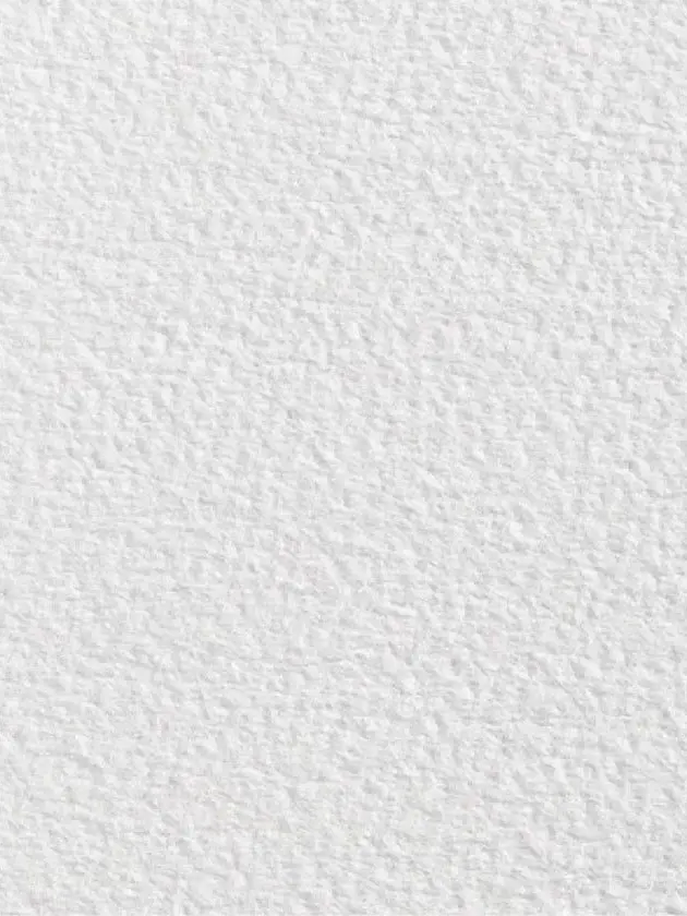 Antonio_의 반항아