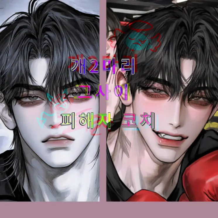 Hari_ball의 개 2마리, 그사이 피해자 코치.