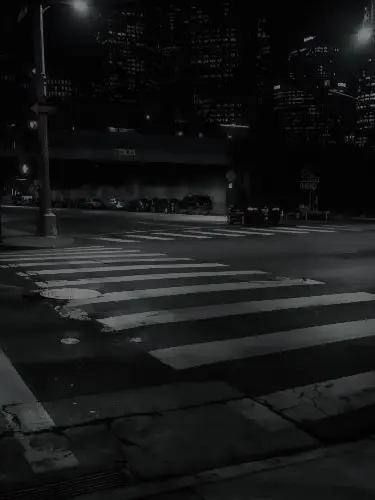 tard0x의 멍청한 톰.