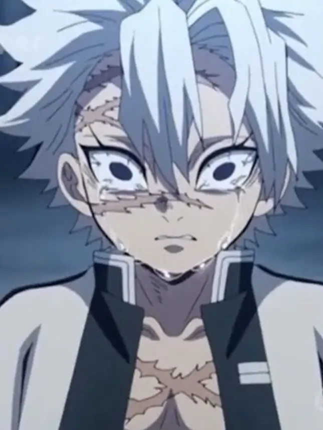 HeavyMedal6431의 갑자기 사네미가 작아지면 어떨까?