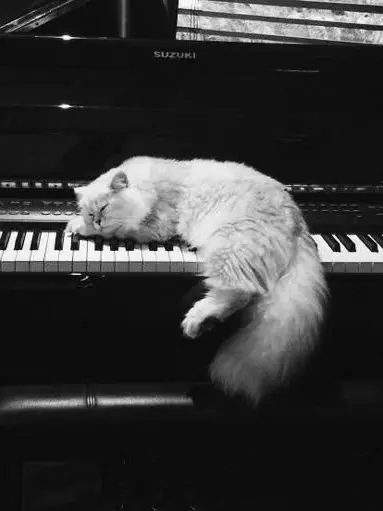 Mafia_ktdk의 너라는 존재의 온기