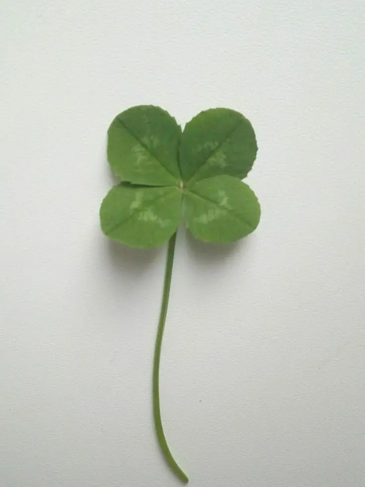 624iloveyou의 ⭐️너드남 비롯기롯기⭐️