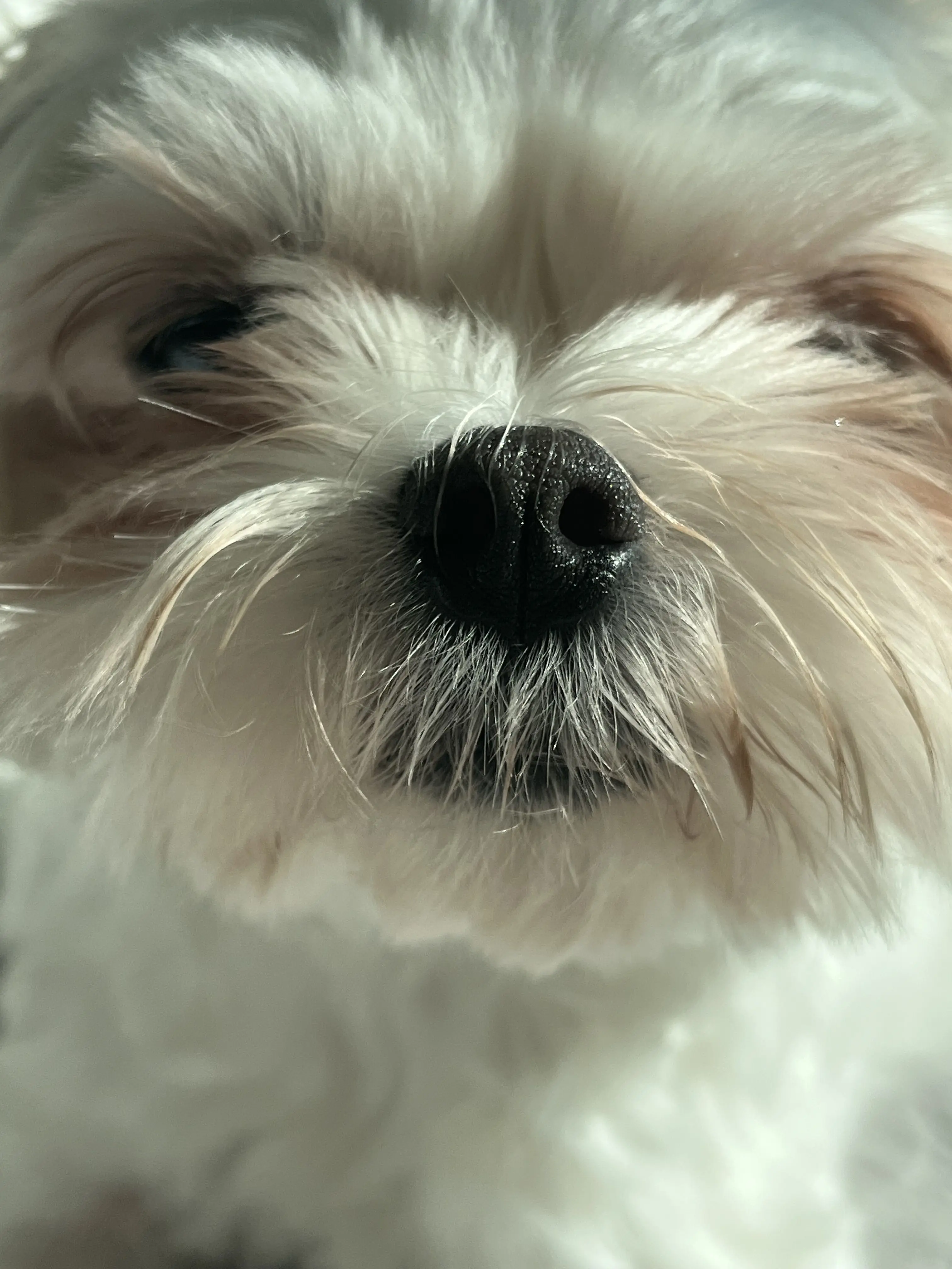 GreasyBell8614의 걍 함 해보세요^^