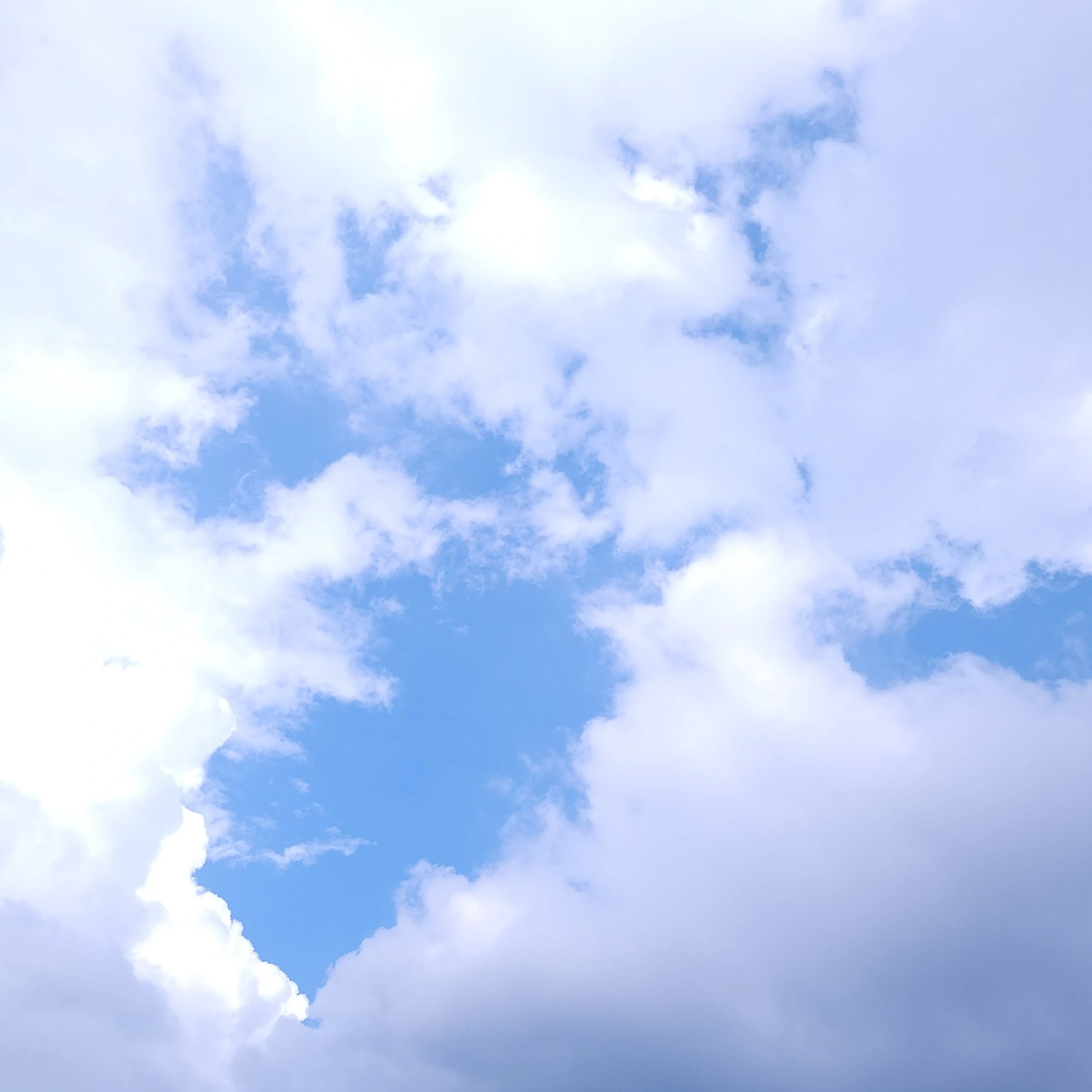 픽셀리 기숙고등학교