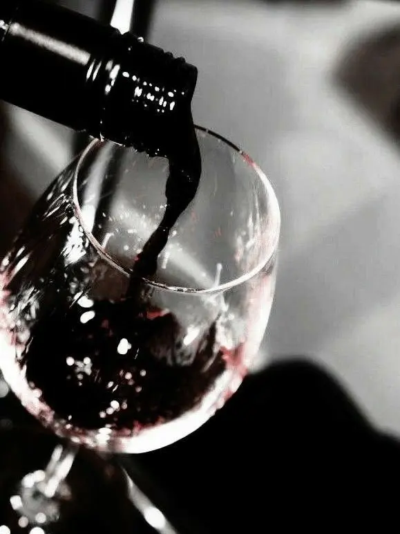 pqowieuryt.love의 húsbóndi