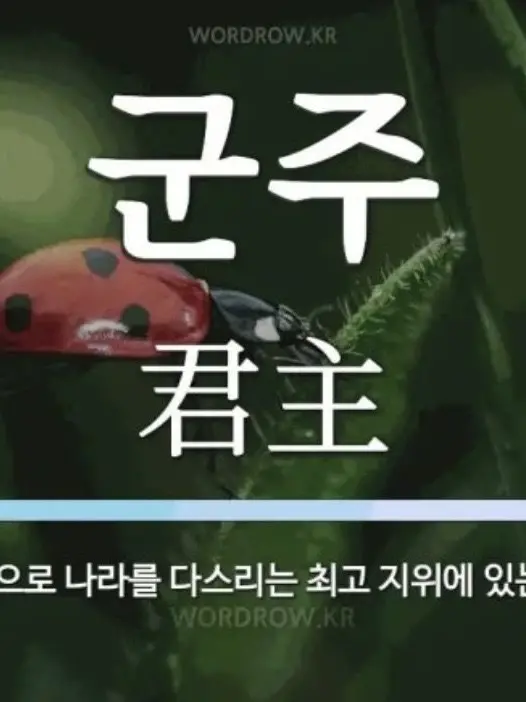 Casle의 그저 군주들
