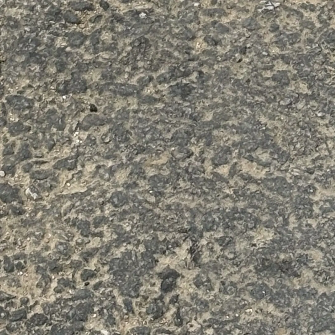 GruffSpice4806의 1세대 왕들