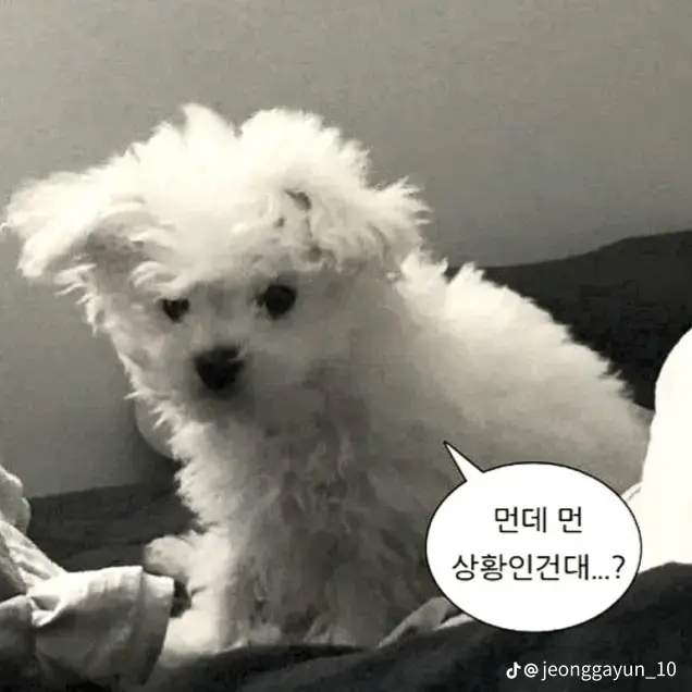 RipeCharm0327의 보넥도 오빠들ෆ