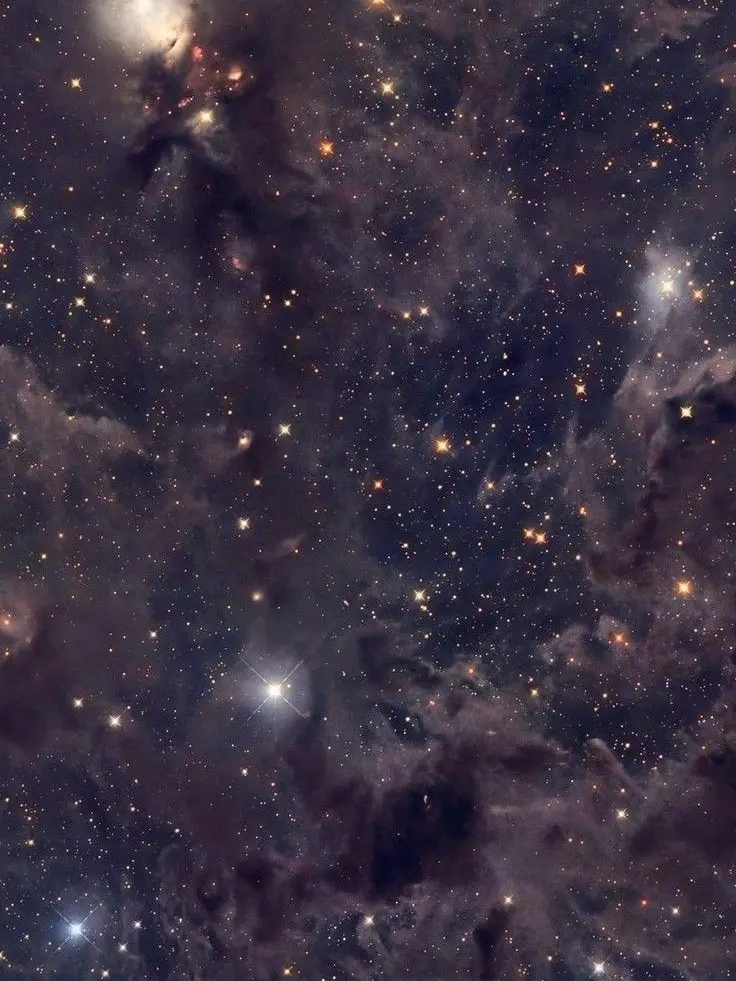 htm_0의 💛増田貴久と色々する日💛