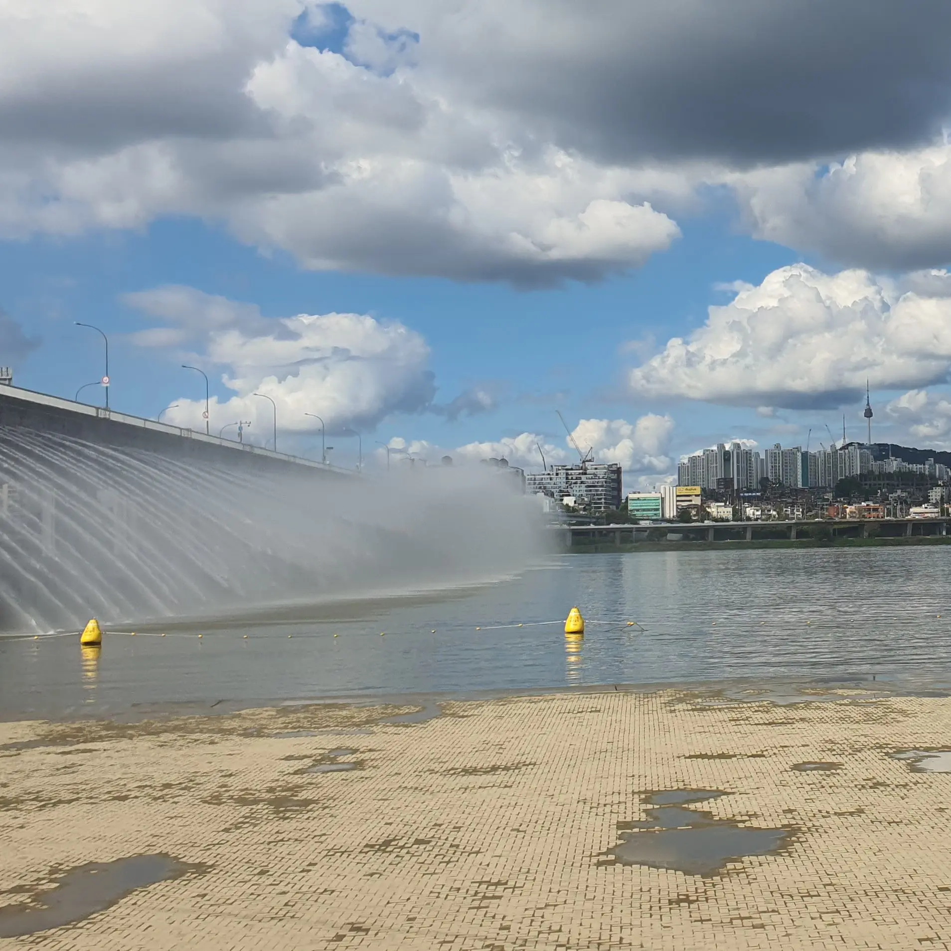 BalmyHyena6168의 고고프렌즈에 여우가있다.