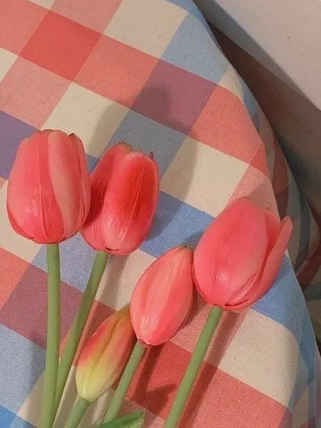 sil07062014의 팀샐러드 초능력 학교 (여우)