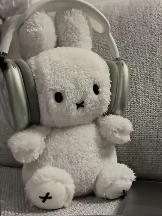 kuruuuu0412의 双子の兄と弟