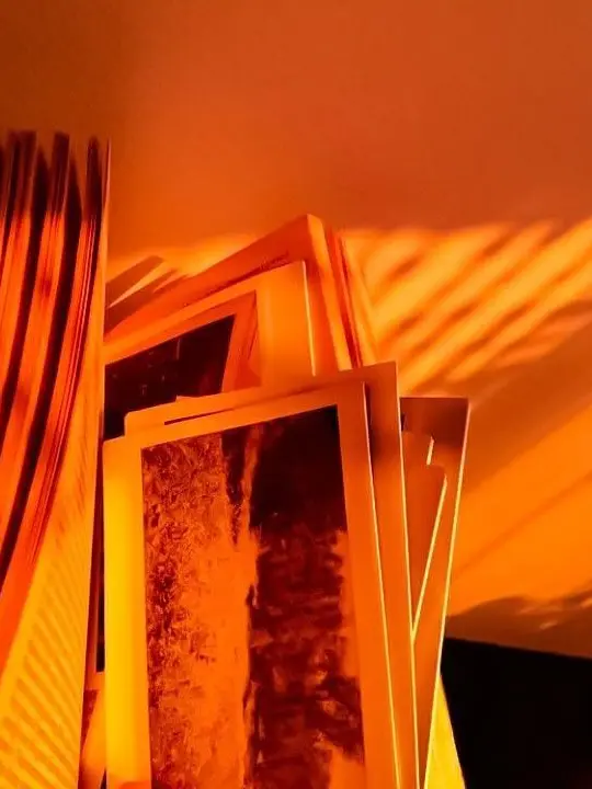 Mang_mango의 1214🐶