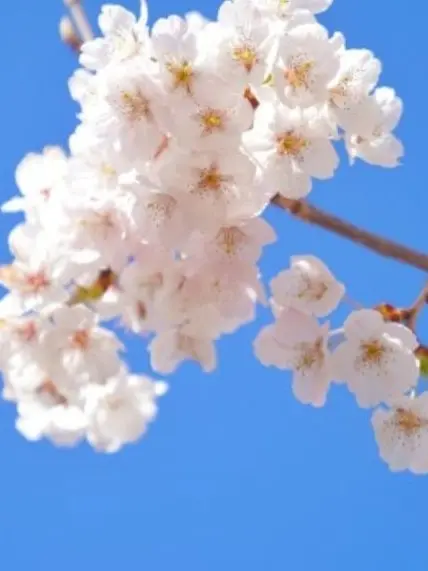 EthnicShark7378의 살인 충동 잠뜰