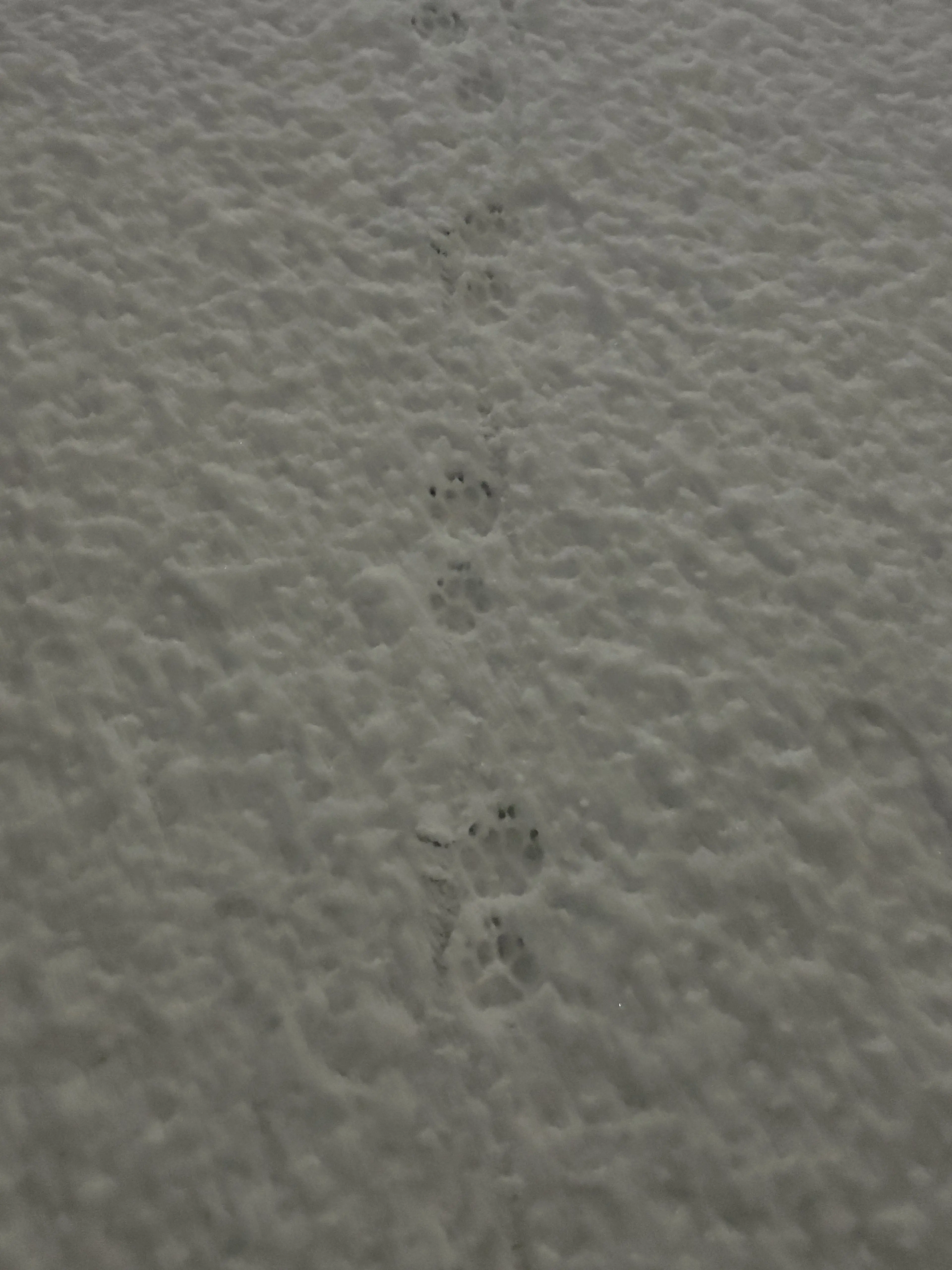 Ming_0406의 유부남 상사