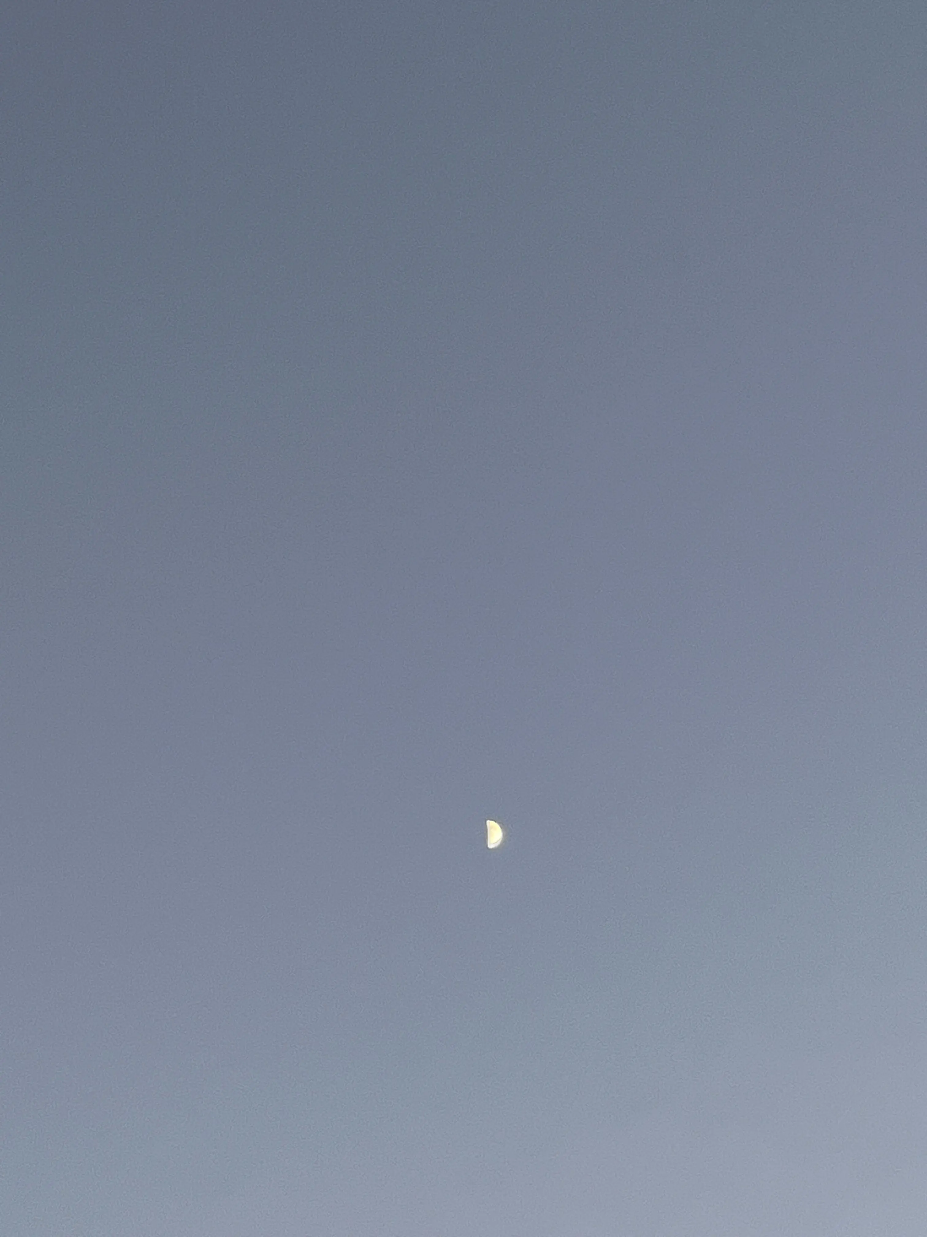 PutridCrib5418의 팀나빠 귀신의 집