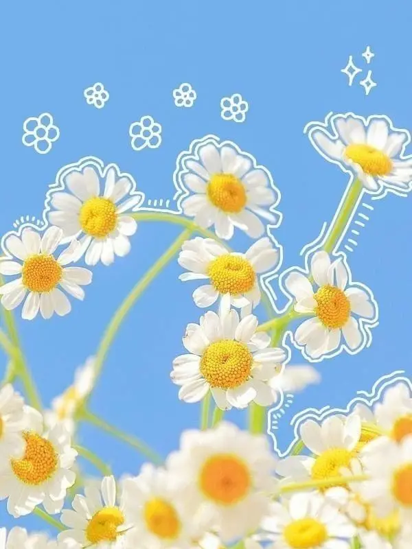 CleanMule0855의 大親友 🫶