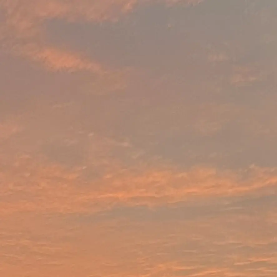 Honeycom의 싸이코드(여우)