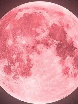 Babamba448899의 서 라더