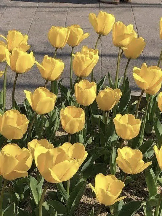 notok의 홀로 요단강을 건너가면. . .