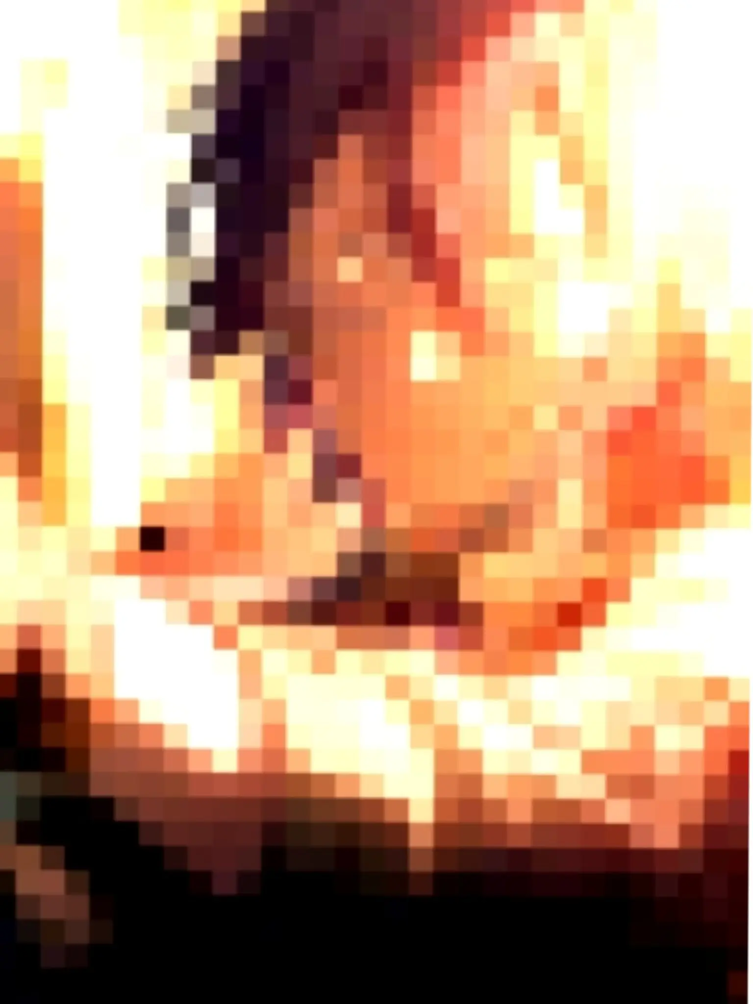 PlaidTrail7721의 조금 모순적인 옥시모론